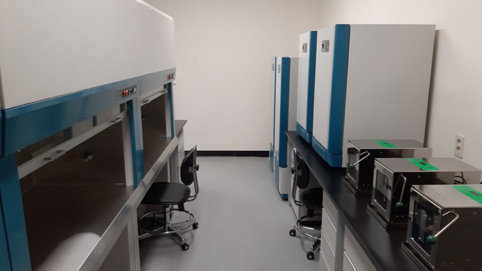 lg_i15573782388415_1_%285%29.jpg
