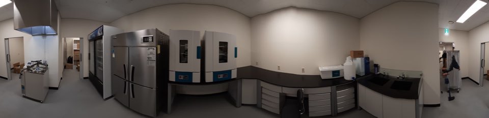 lg_i15573782411894_6_1.jpg